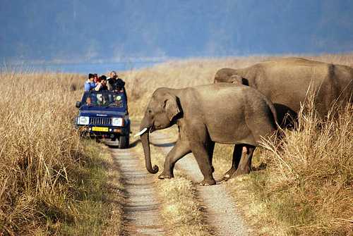 Uttaranchal Wildlife Tour