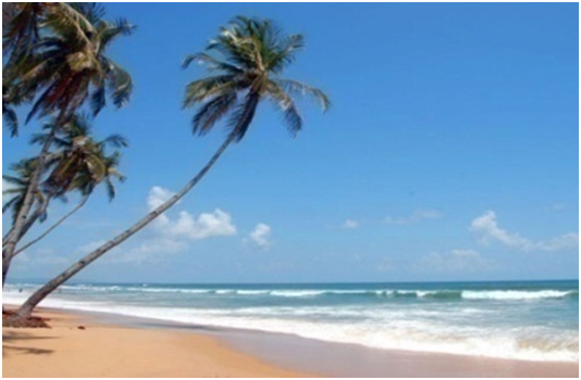 Trips for College Students–GOA (4D/3N)