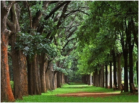 TIPPU SULTHANS SUMMER PALACE WITH CUBBON PARK